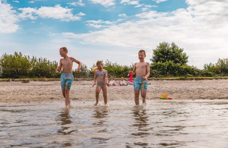 Young families & seniors