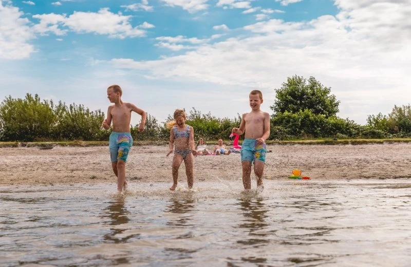 Young families & seniors