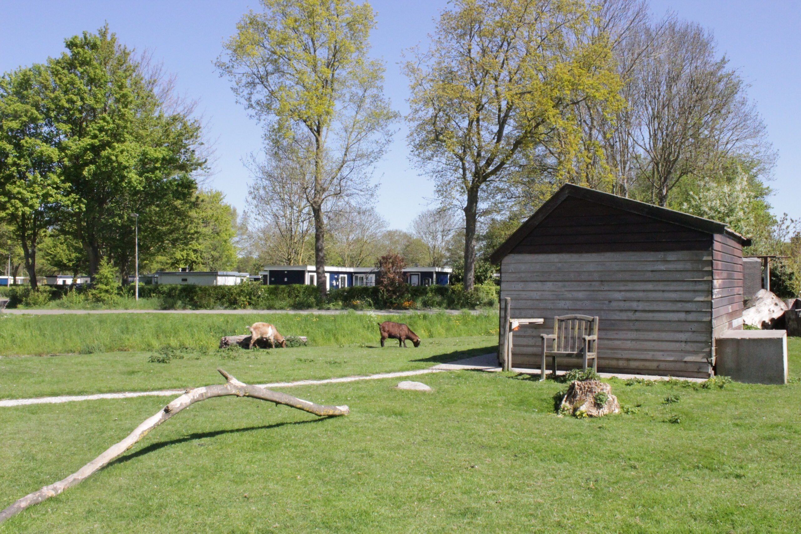 Dierenweide grootslag ijsselhof 2