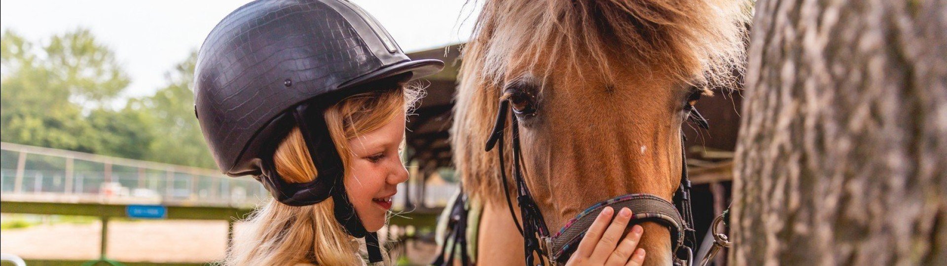 Ponyrijden villapark ijsselhof