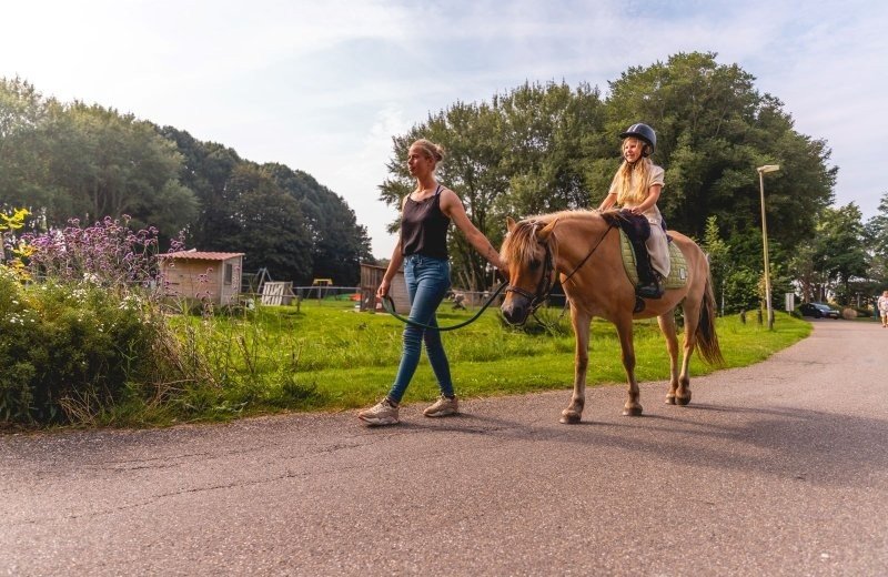 Ponyurlaub ijsselmeer holland reiten