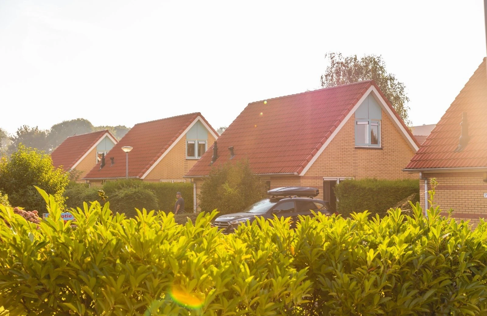 Vakantievilla noord holland