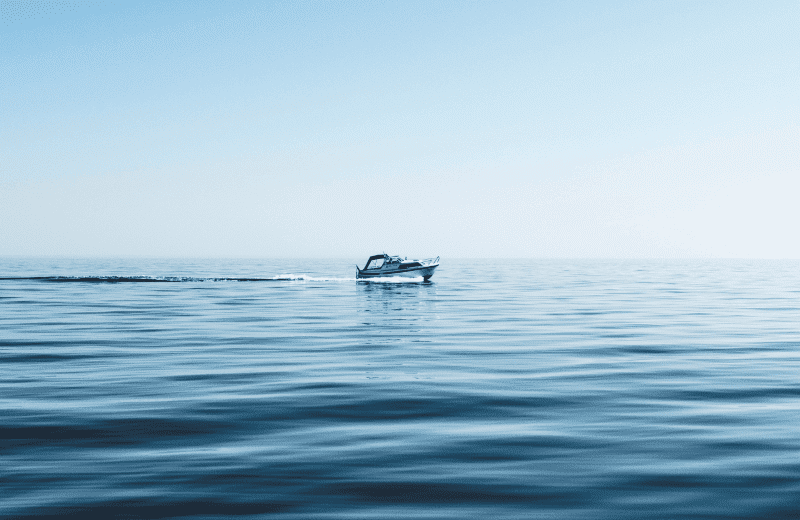 Boat trips and boat rentals